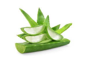 files/aloe-vera.jpg