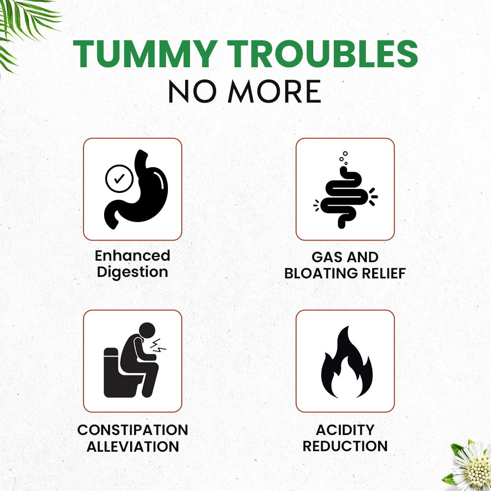 Digestion Pro Capsules: Helps with Acidity, Gas and Constipation