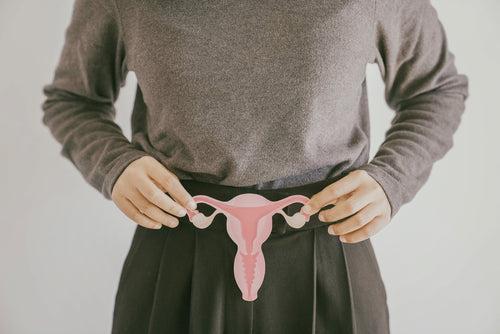 files/uterus.jpg