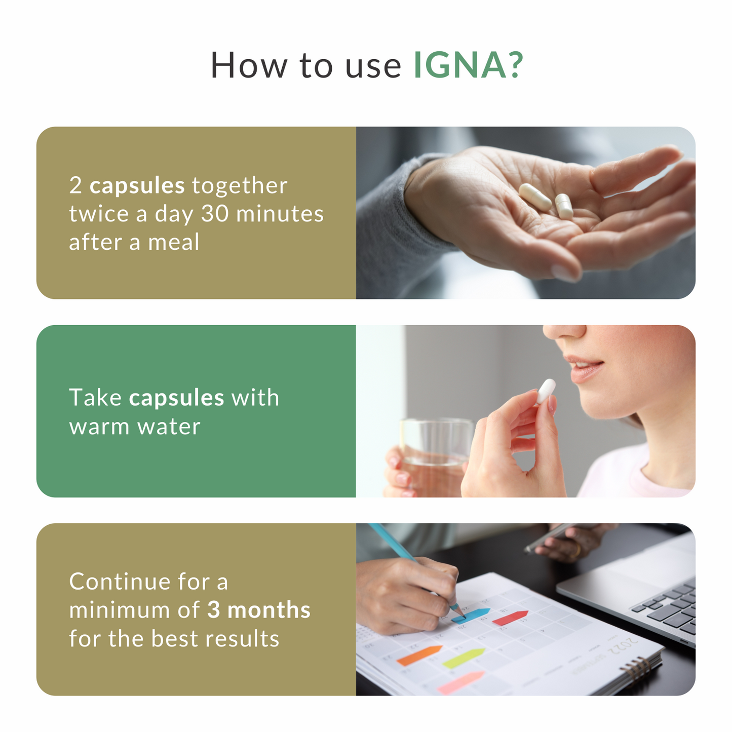 IGNA: Digestive Enzyme