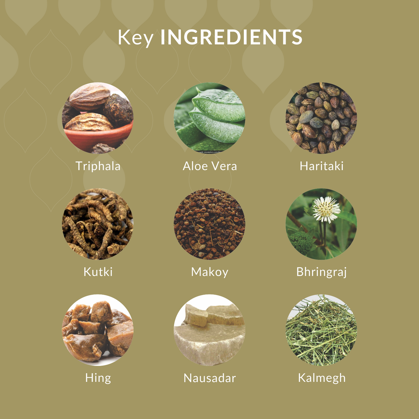 IGNA: Digestive Enzyme