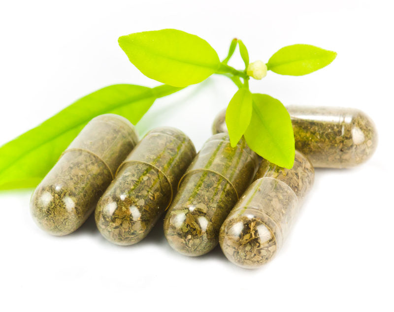 Importance of Herbal Remedies in our Daily Lives