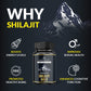 Matsyaveda Himalayan Shilajit Capsules